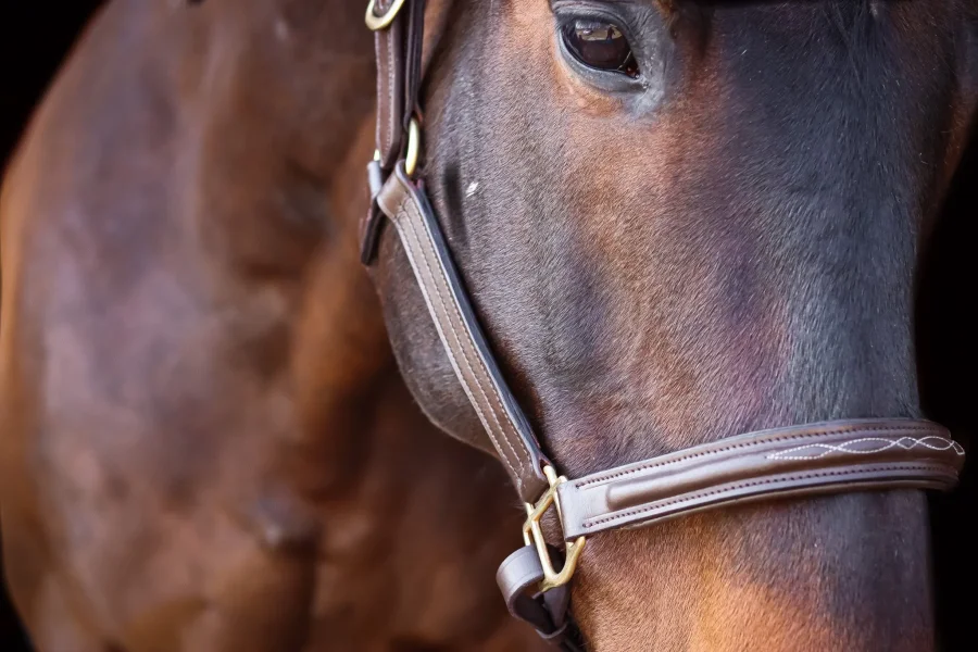 Asger Leather Halter