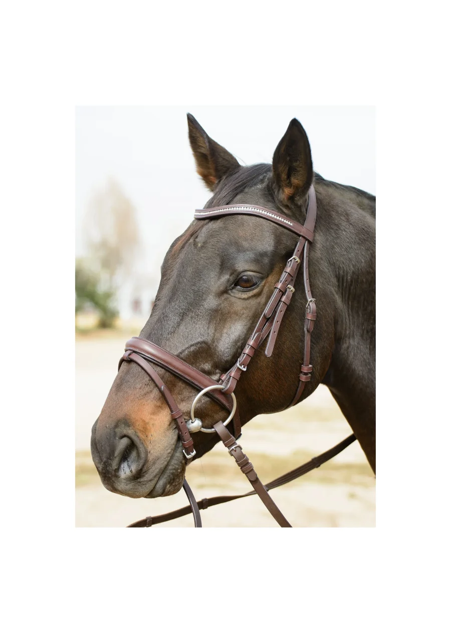 Sigrid Elegant Leather Bridle