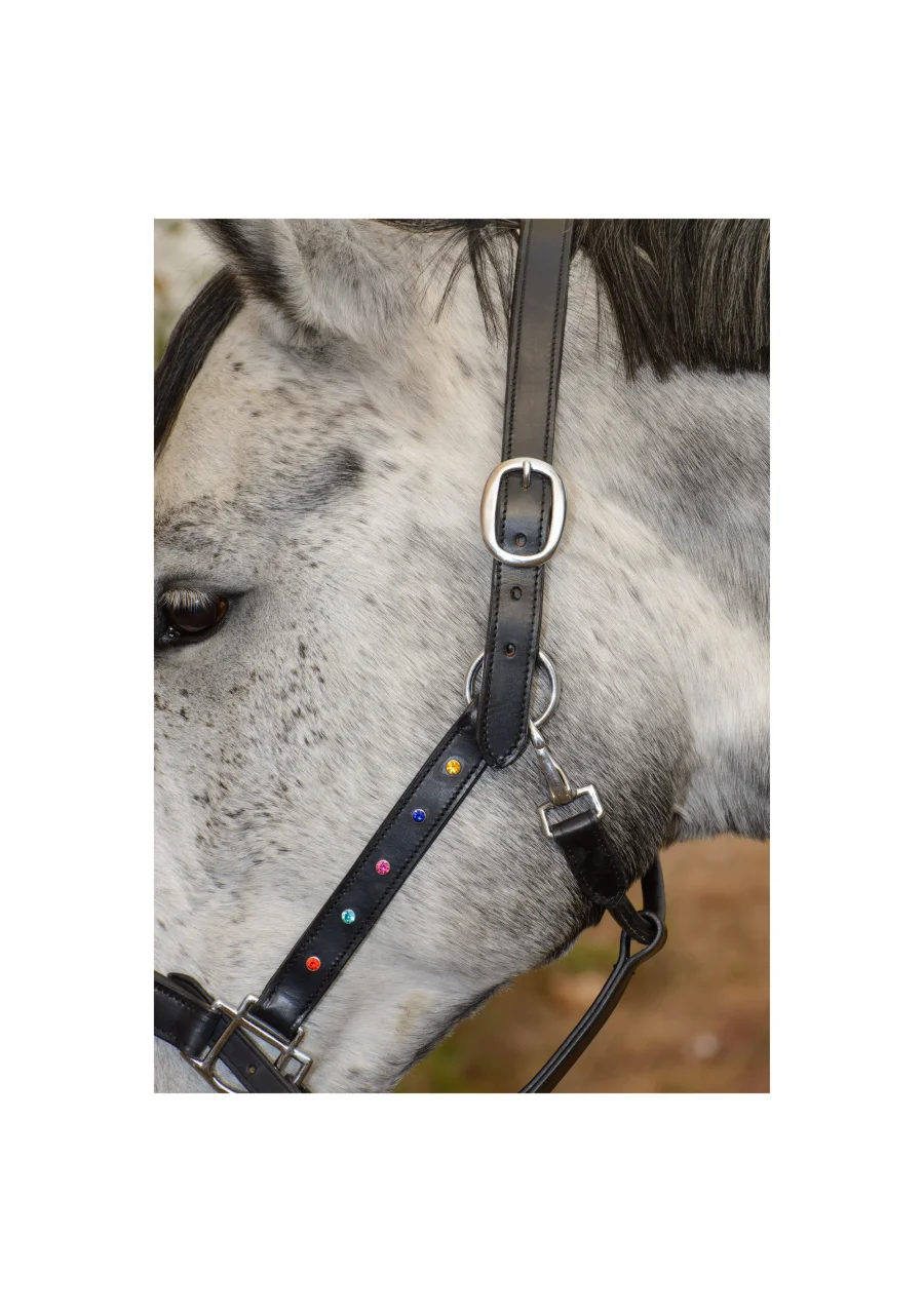 Saga Leather Halter with Dazzling Rhinestones